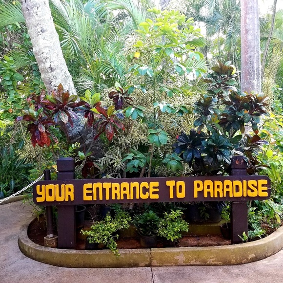 Meet your Posher, Tracy - Picture 2 of 5